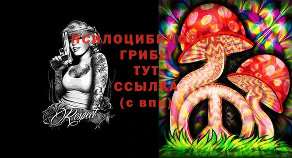 a pvp Арсеньев
